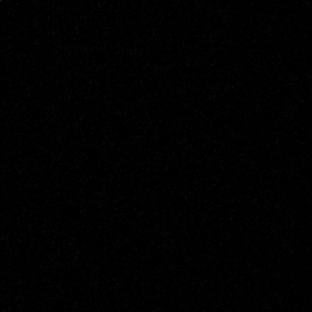 Meet your Posher, Delanie